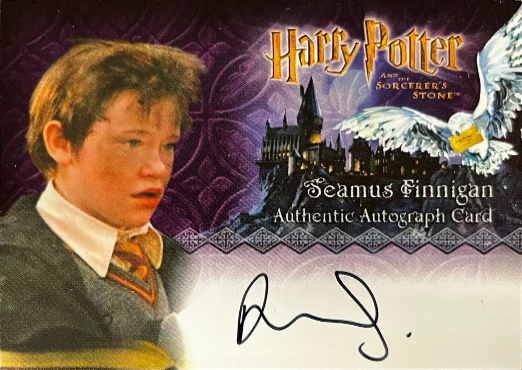 Devon Murray as Seamus Finniagn