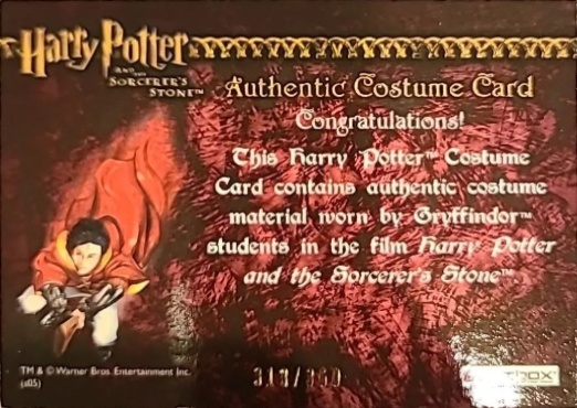 Gryffindor Student Tie - Back