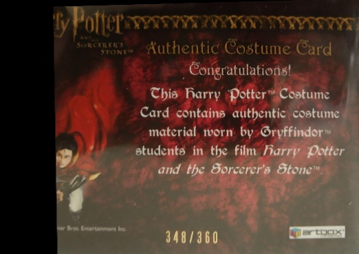 Gryffindor Student Tie - Back