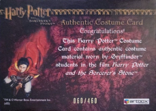 Gryffindor Students Costume - Back