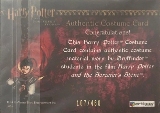 Gryffindor Students Costume - Back