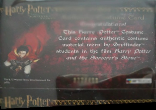 Gryffindor Students Costume - Back