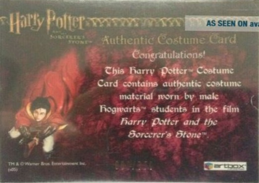 Male Hogwarts Students Costume - Back