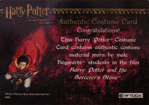 Male Hogwarts Students Costume - Back