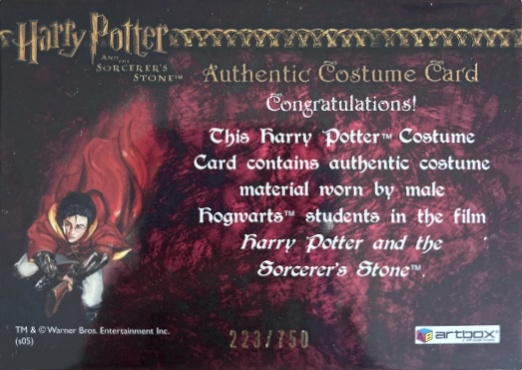 Male Hogwarts Students Costume - Back