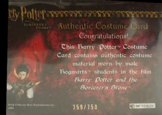 Male Hogwarts Students Costume - Back