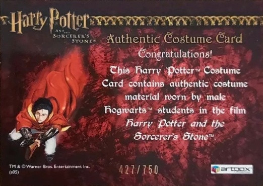 Male Hogwarts Students Costume - Back