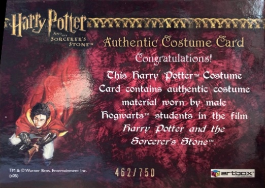 Male Hogwarts Students Costume - Back