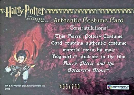 Male Hogwarts Students Costume - Back