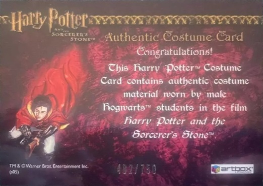 Male Hogwarts Students Costume - Back