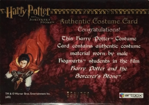 Male Hogwarts Students Costume - Back