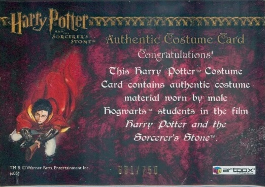 Male Hogwarts Students Costume - Back