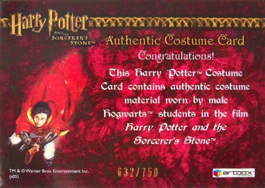 Male Hogwarts Students Costume - Back