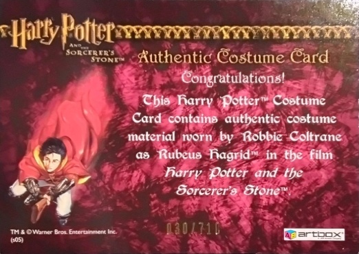 Rubeus Hagrid's Shirt - Back