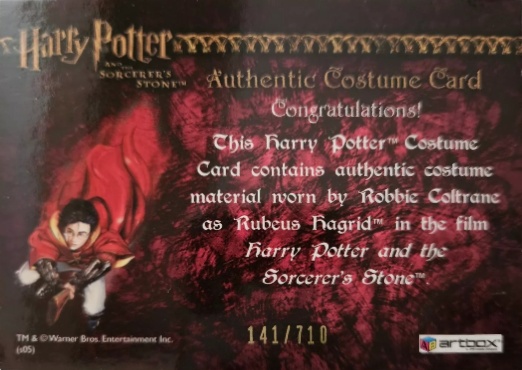 Rubeus Hagrid's Shirt - Back