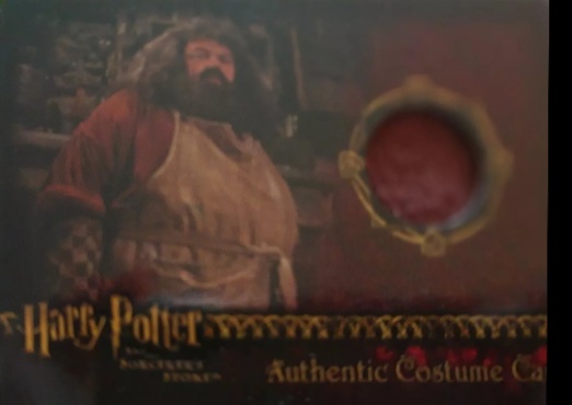 Rubeus Hagrid's Shirt - Front