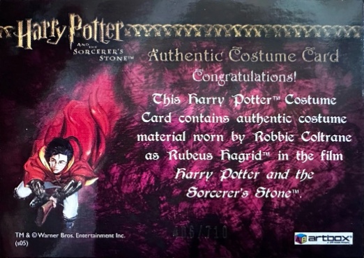 Rubeus Hagrid's Shirt - Back