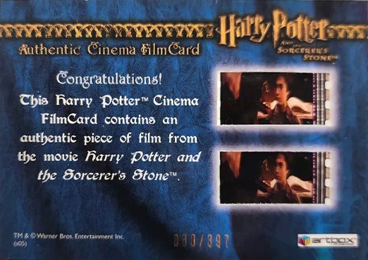 Harry Playing Quidditch - Back