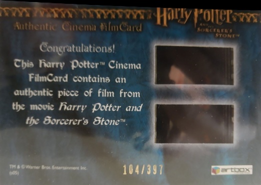 Harry Playing Quidditch - Back