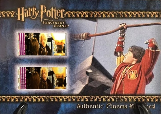 Harry Playing Quidditch - Front