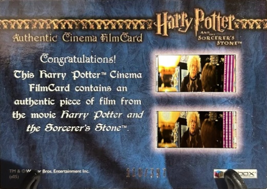 Harry Playing Quidditch - Back