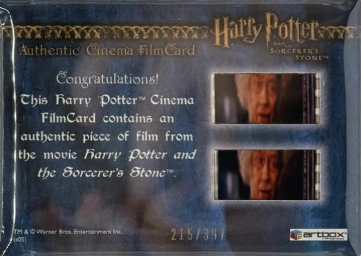 Harry Playing Quidditch - Back