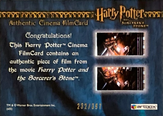 Harry Playing Quidditch - Back