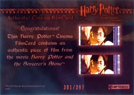 Harry Playing Quidditch - Back