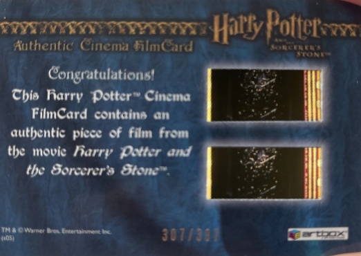 Harry Playing Quidditch - Back