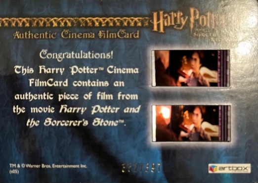 Harry Playing Quidditch - Back