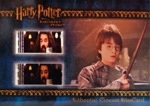 Harry With New Wand in Ollivander's