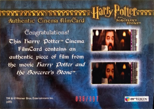 Harry With New Wand in Ollivander's - Back
