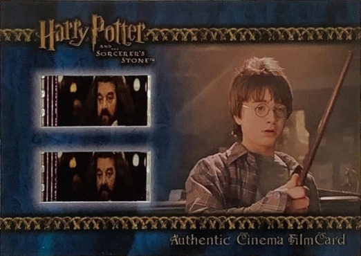 Harry With New Wand in Ollivander's - Front