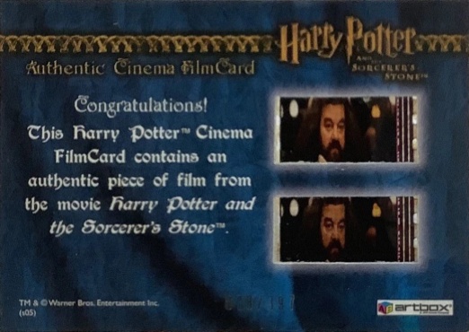 Harry With New Wand in Ollivander's - Back