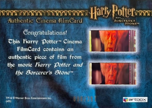 Harry With New Wand in Ollivander's - Back