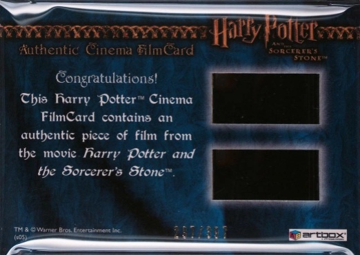 Harry With New Wand in Ollivander's - Back