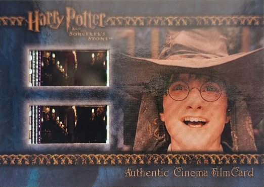 Harry being sorted - Front