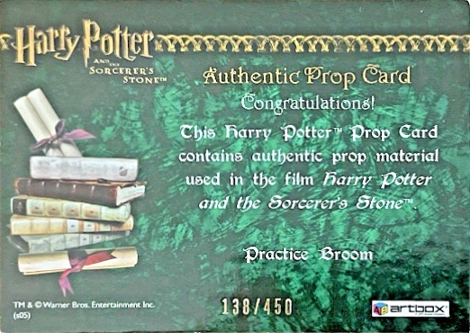 Practice Broom - Back