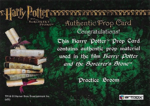 Practice Broom - Back