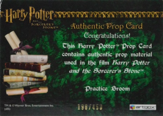 Practice Broom - Back