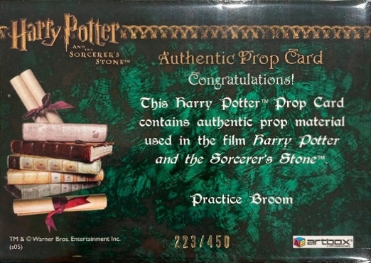 Practice Broom - Back