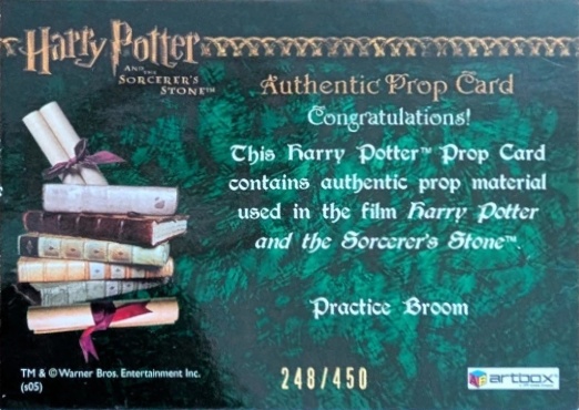 Practice Broom - Back