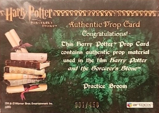 Practice Broom - Back