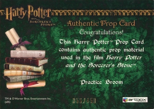 Practice Broom - Back