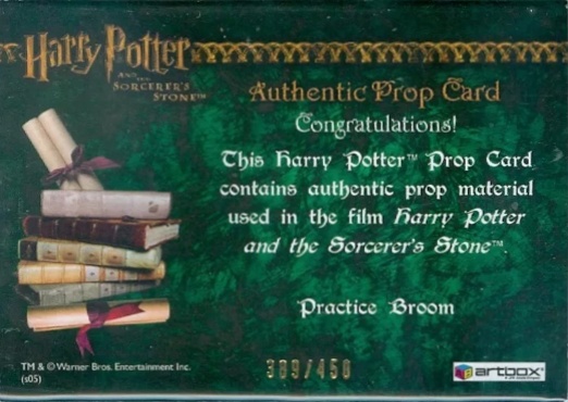 Practice Broom - Back