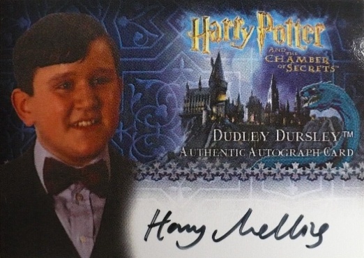 Harry Melling as Dudley Dursley