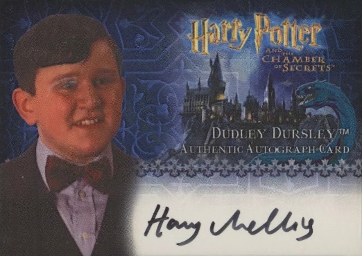 Harry Melling as Dudley Dursley - Front