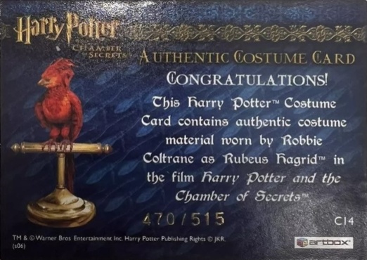 C14 - Rubeus Hagrid's Shirt - Back