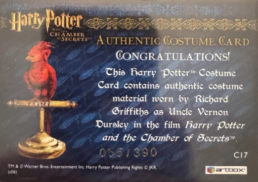 C17 - Uncle Vernon's Grey Suit - Back