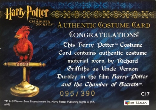 C17 - Uncle Vernon's Grey Suit - Back